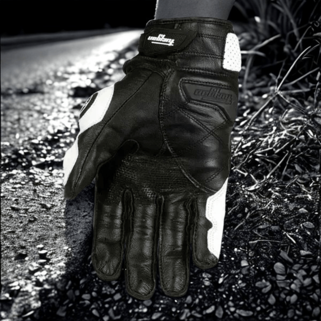 Gants de Moto | VeloceRex